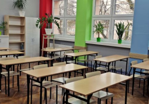sala 65
