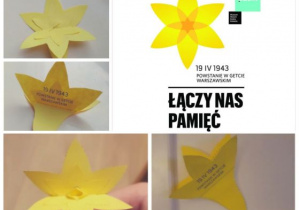 obraz zawierający tekst, żółte kwiaty